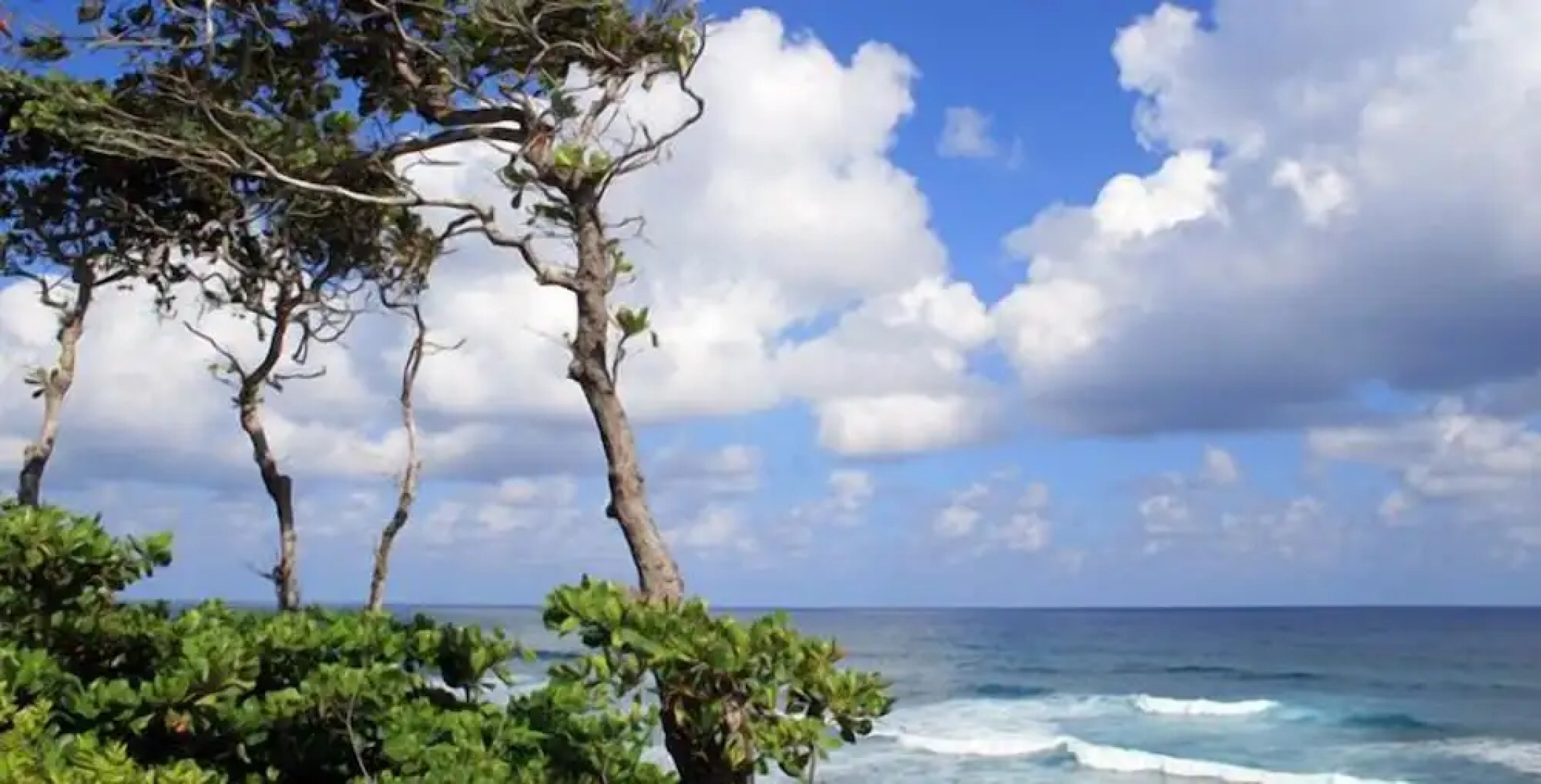 Family Oriented - Private Beach & Horse Stables - Ocean, Pool, & Hot Tub