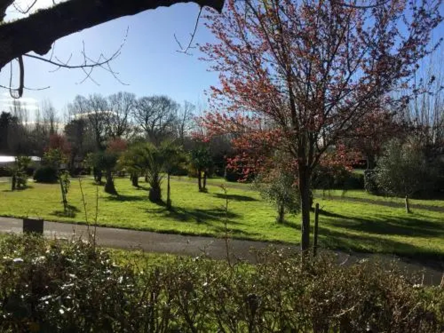 la ferme des 4 chenes