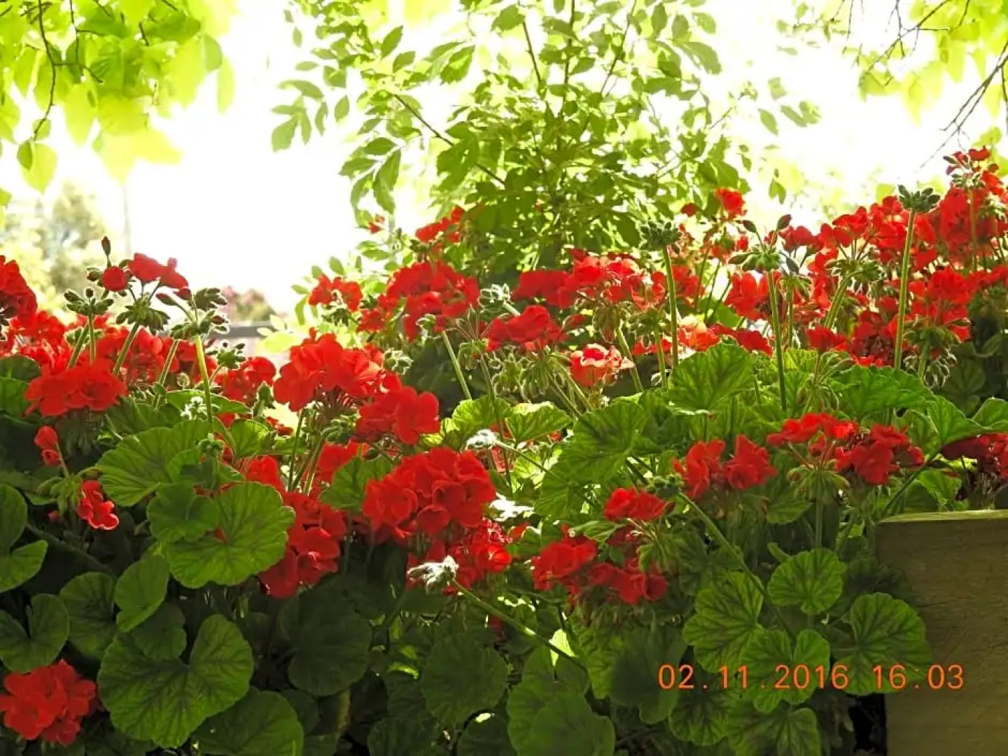 Barklysuites Apartments