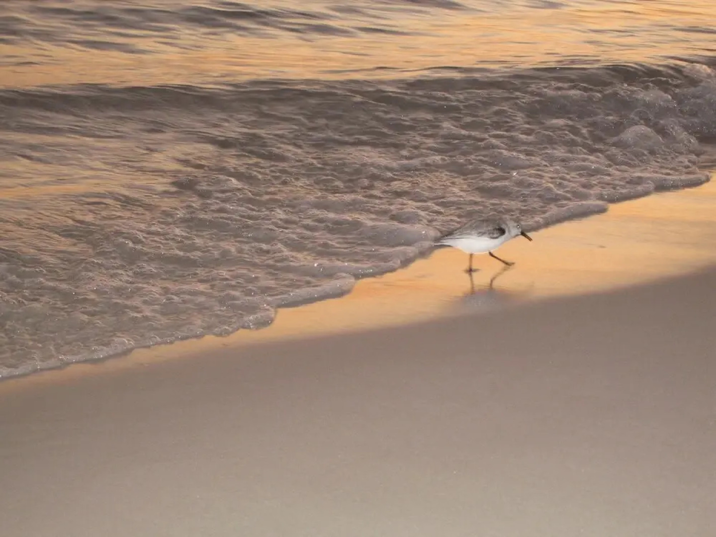 Chateau La Mer 8B Destin