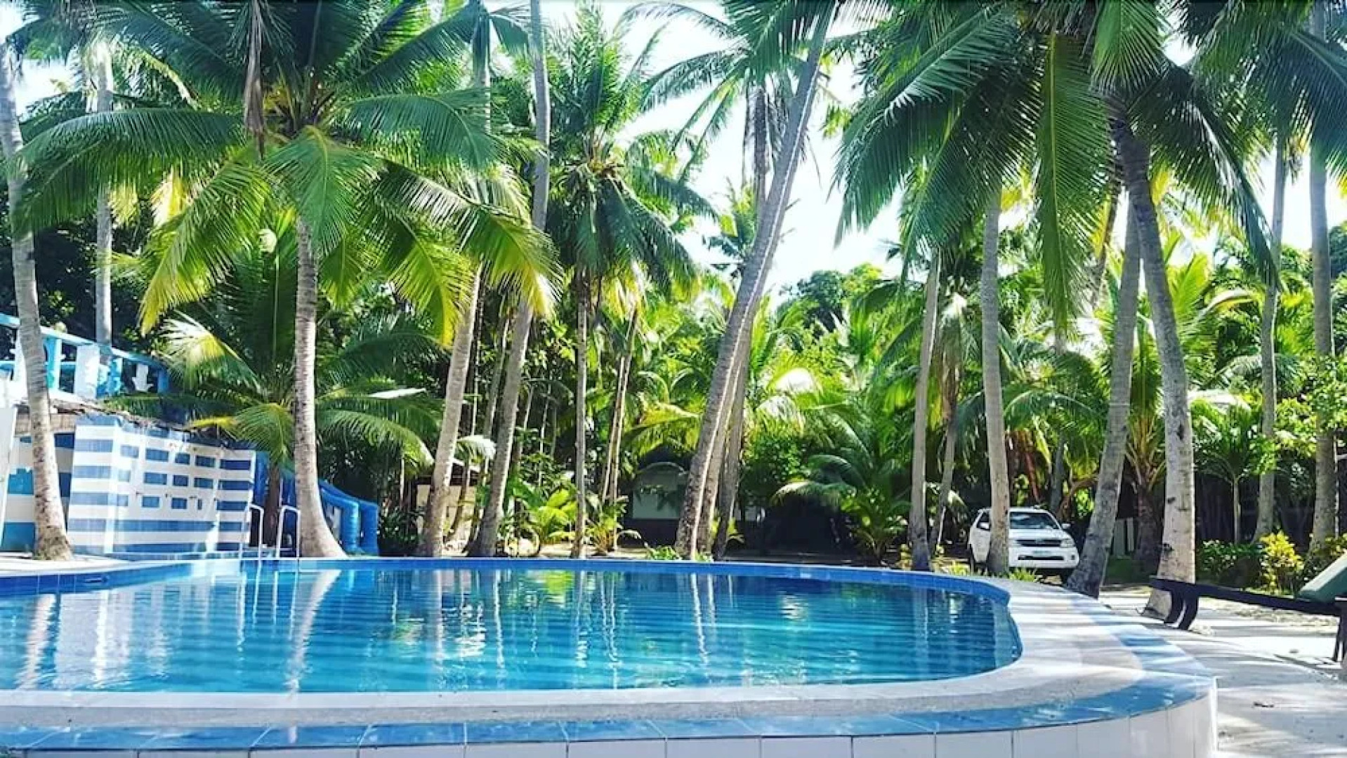 The Pelicans Castaway