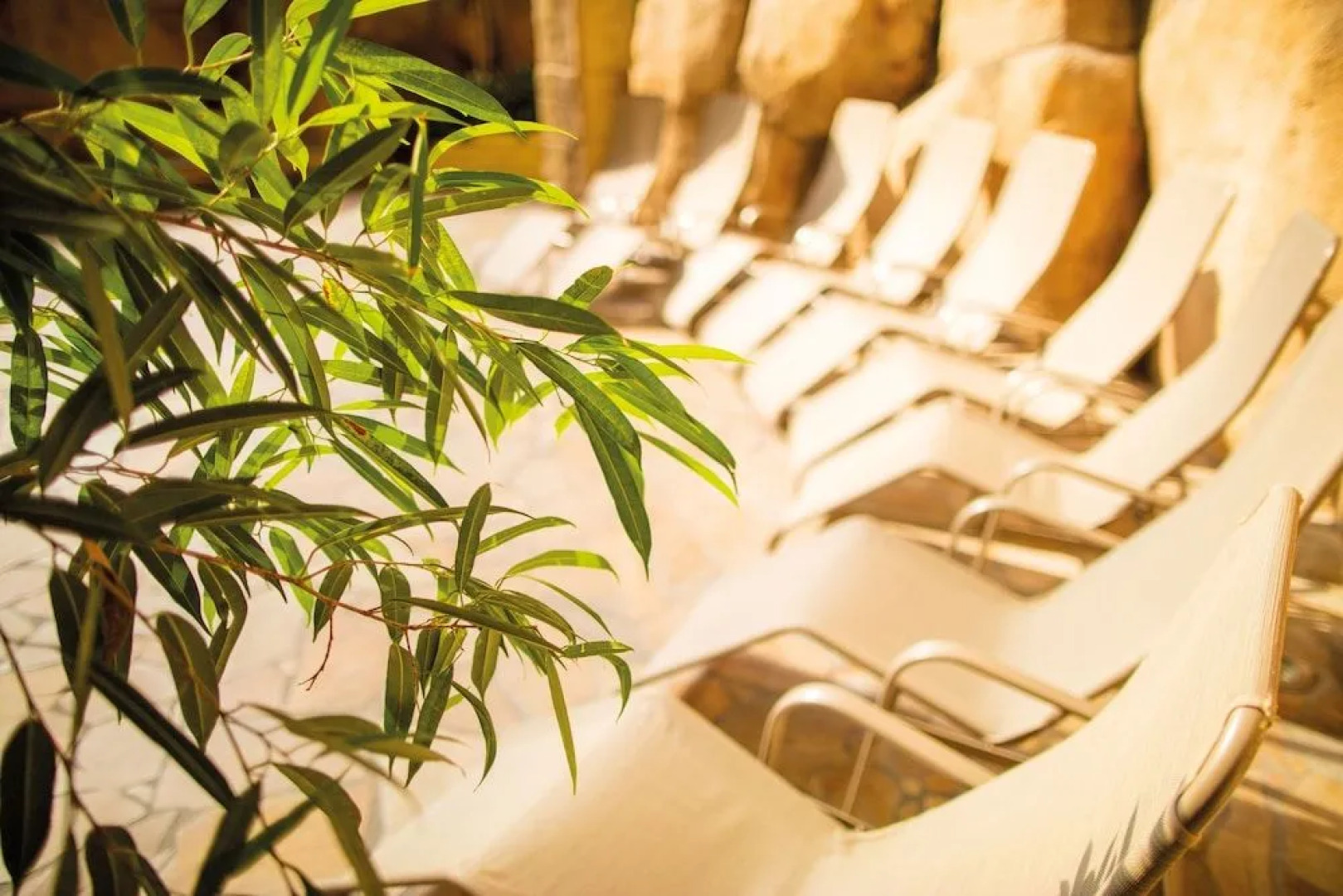 Tropical Islands Resort