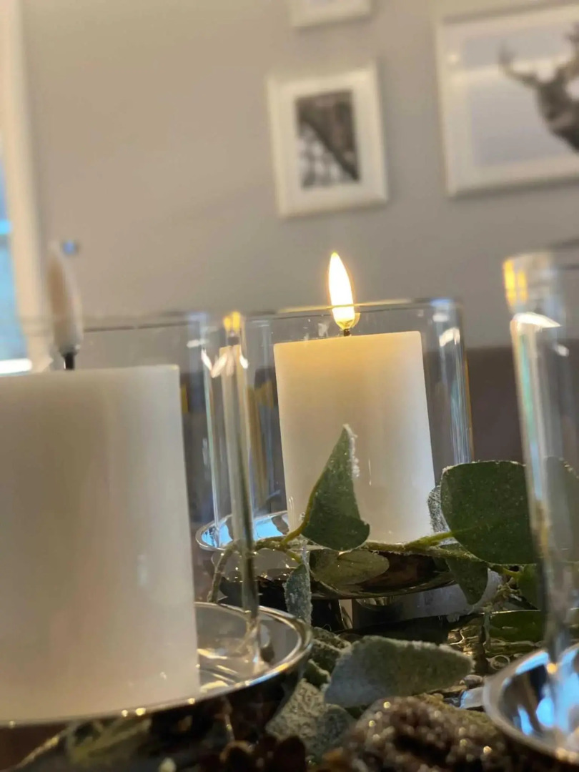 DRIEHOF LifeStyle Suite Apt 1