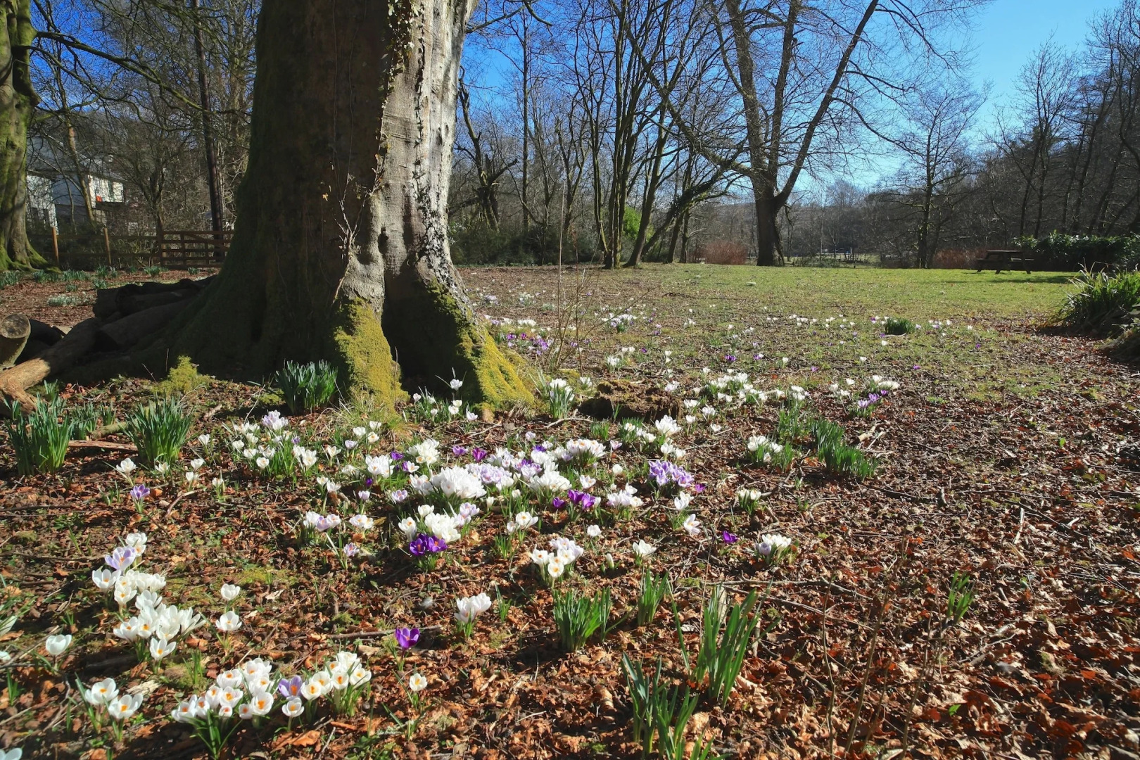 Exmoor White Horse Inn