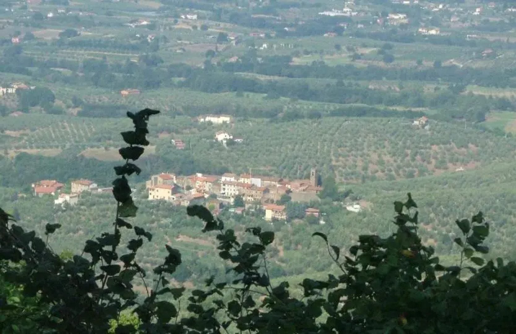 Podere Calistri