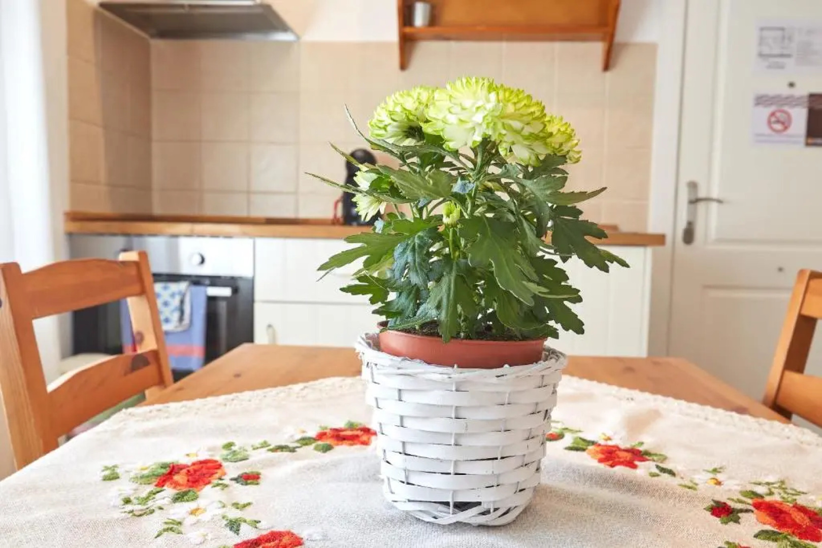 Apartahotel Belchite