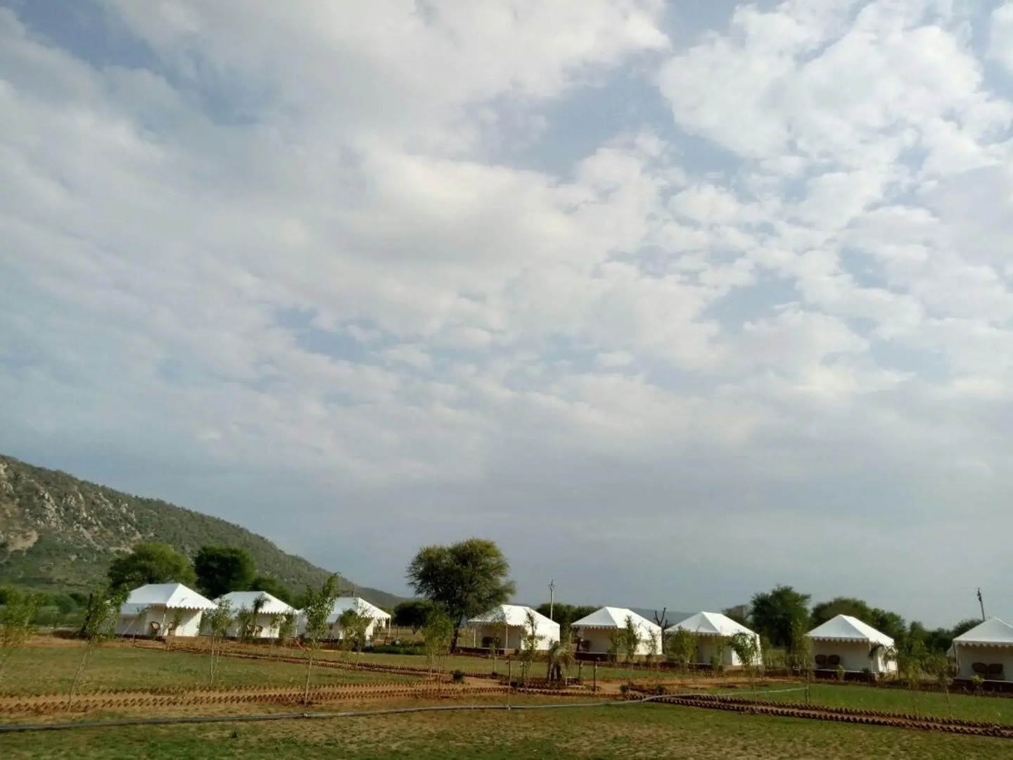 The Tiger Hill Sariska Resort