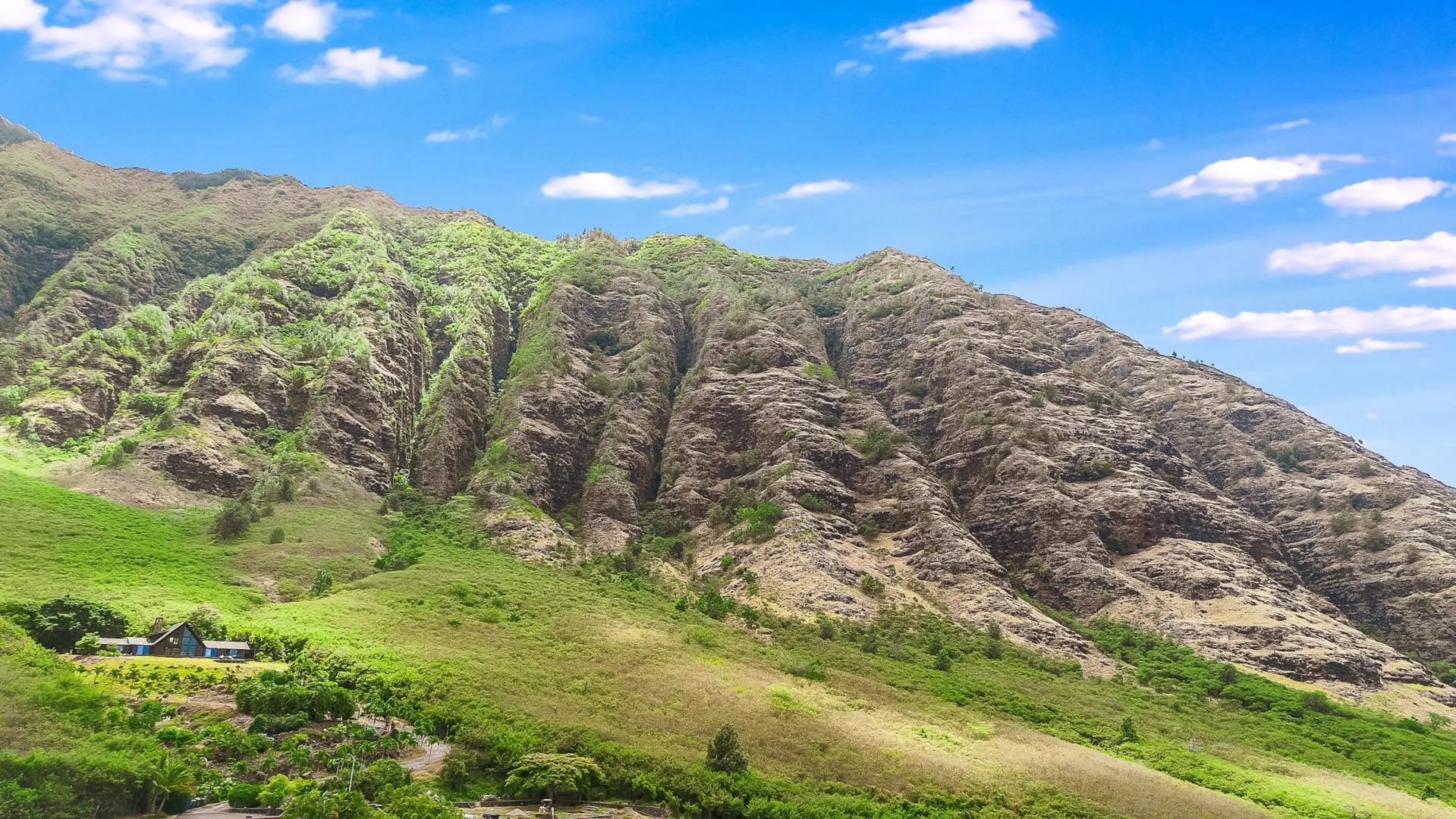 Studio Nene by AvantStay | Chic, Cozy, King Bed