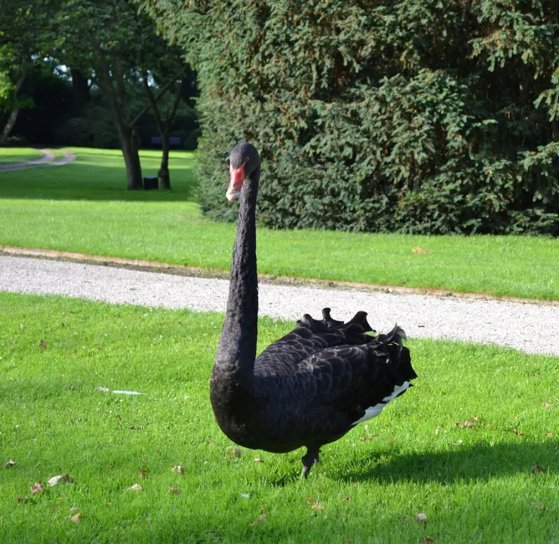 B&B Landgoed Matanze