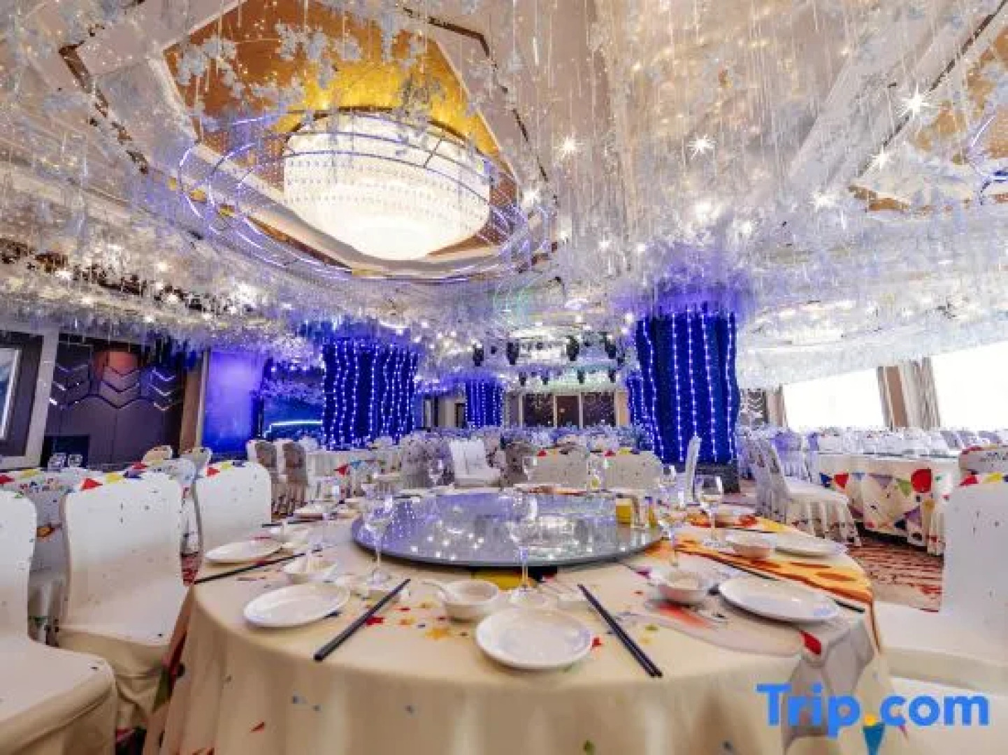 Galactic Garden International Hotel