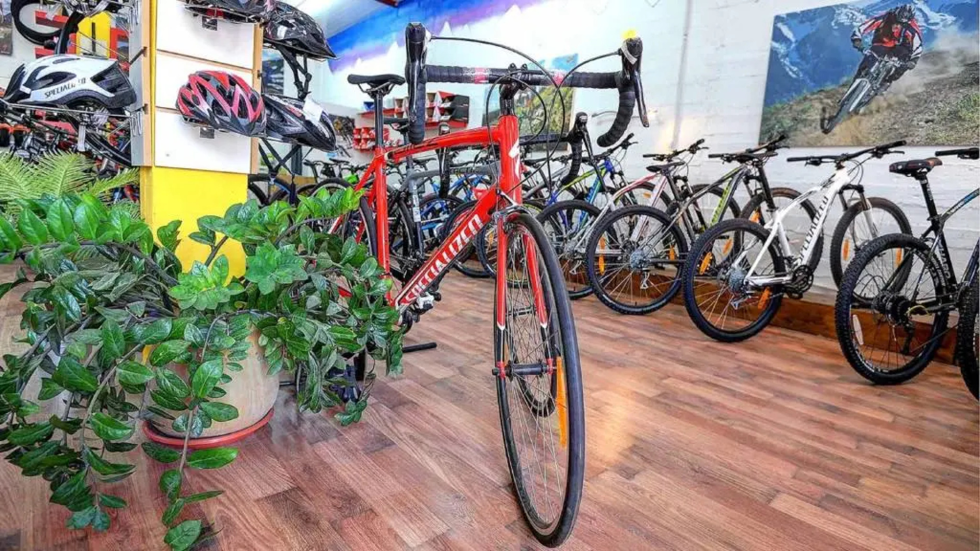 Kibbutz Ashdot Yaacov Ichud Country Lodging