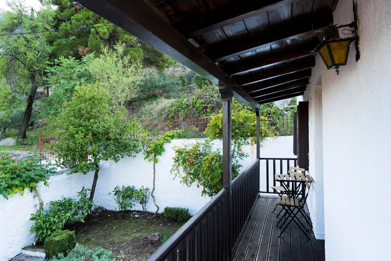 Dandy On The Hill - Amfikleia