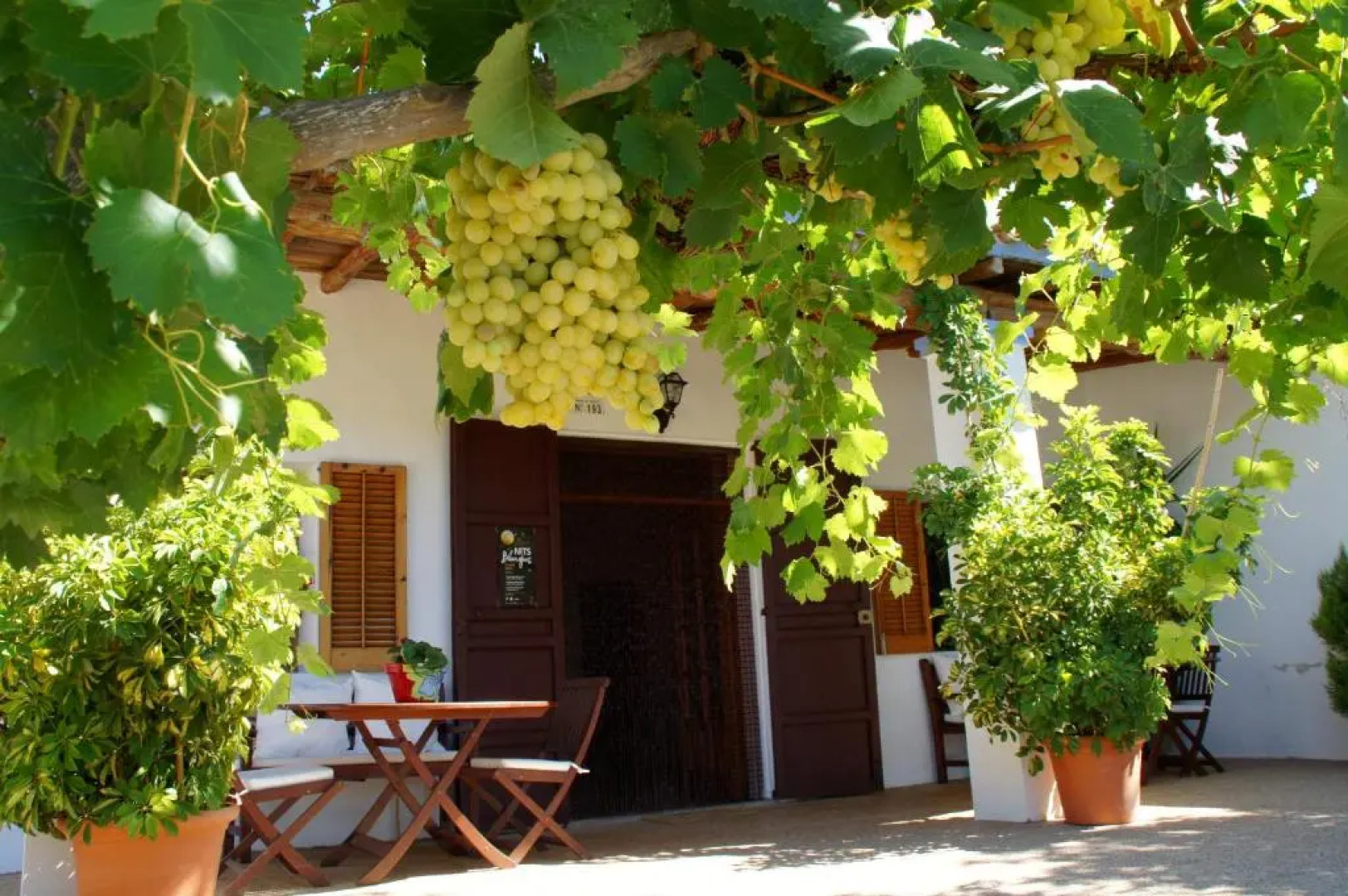 Agroturismo Sa Vinya d'en Palerm