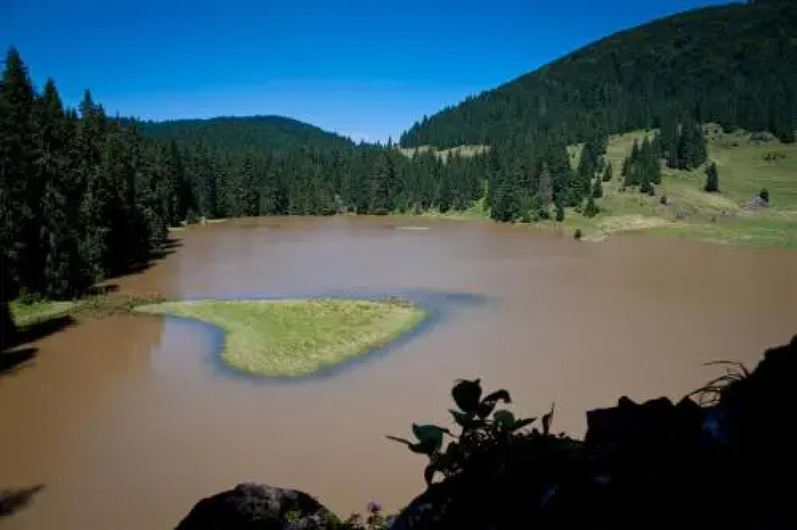 Pension Cabana Cetatile Ponorului