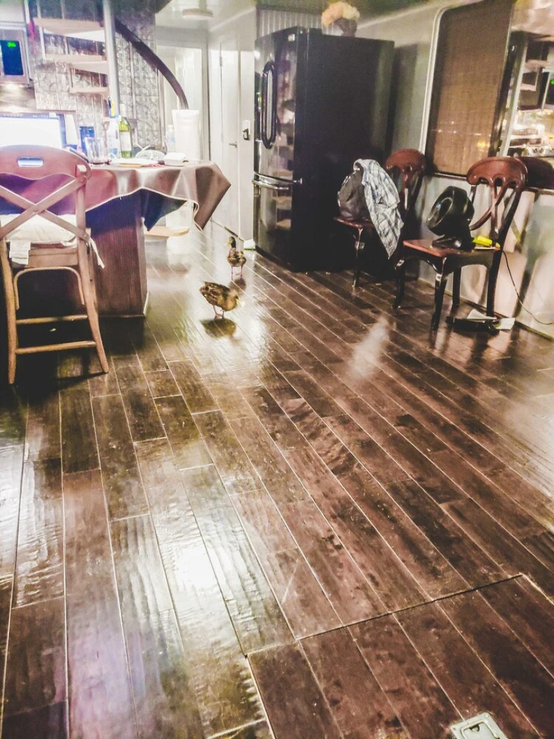 Airstream Houseboat Amazing Lake Travis View