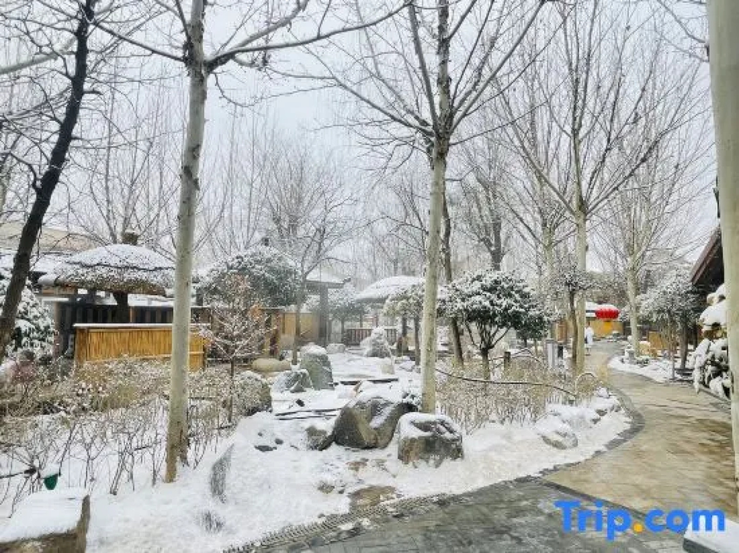 Manpu Tianmu Yangyan Hot Spring Hotel (Zhenbeibao Western Studios See Helan Performing Arts Town)