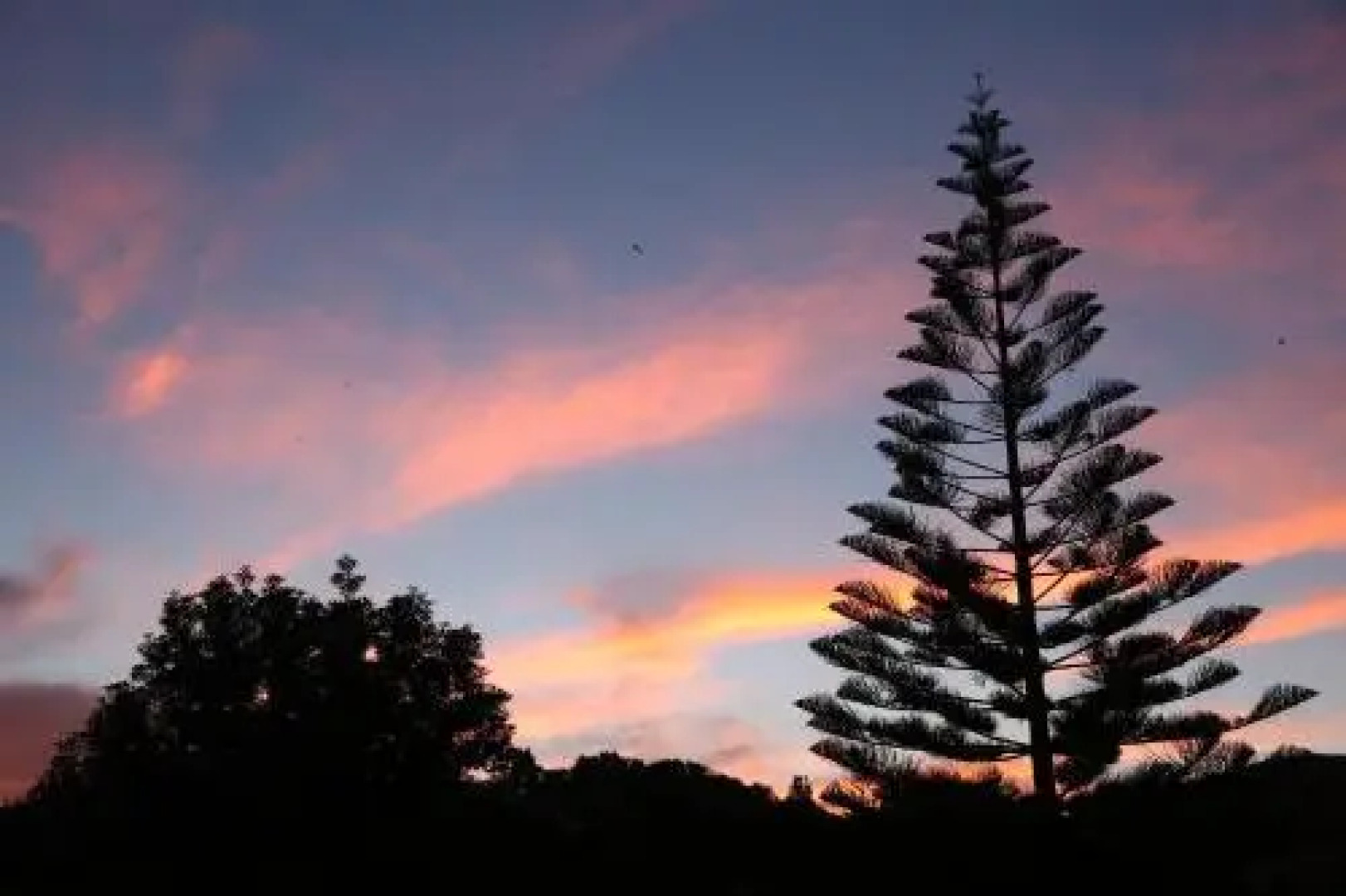 Hitide Bed & Breakfast