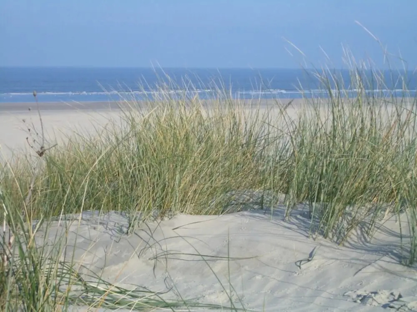 Klabautermann Maywald