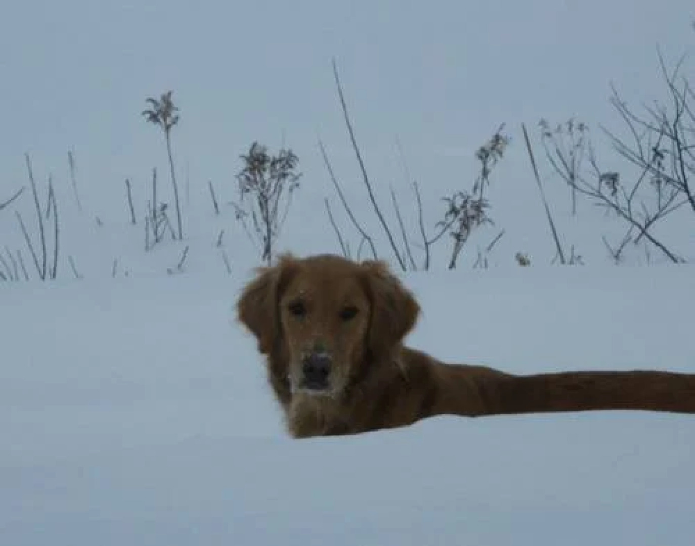 Table dans les nuages