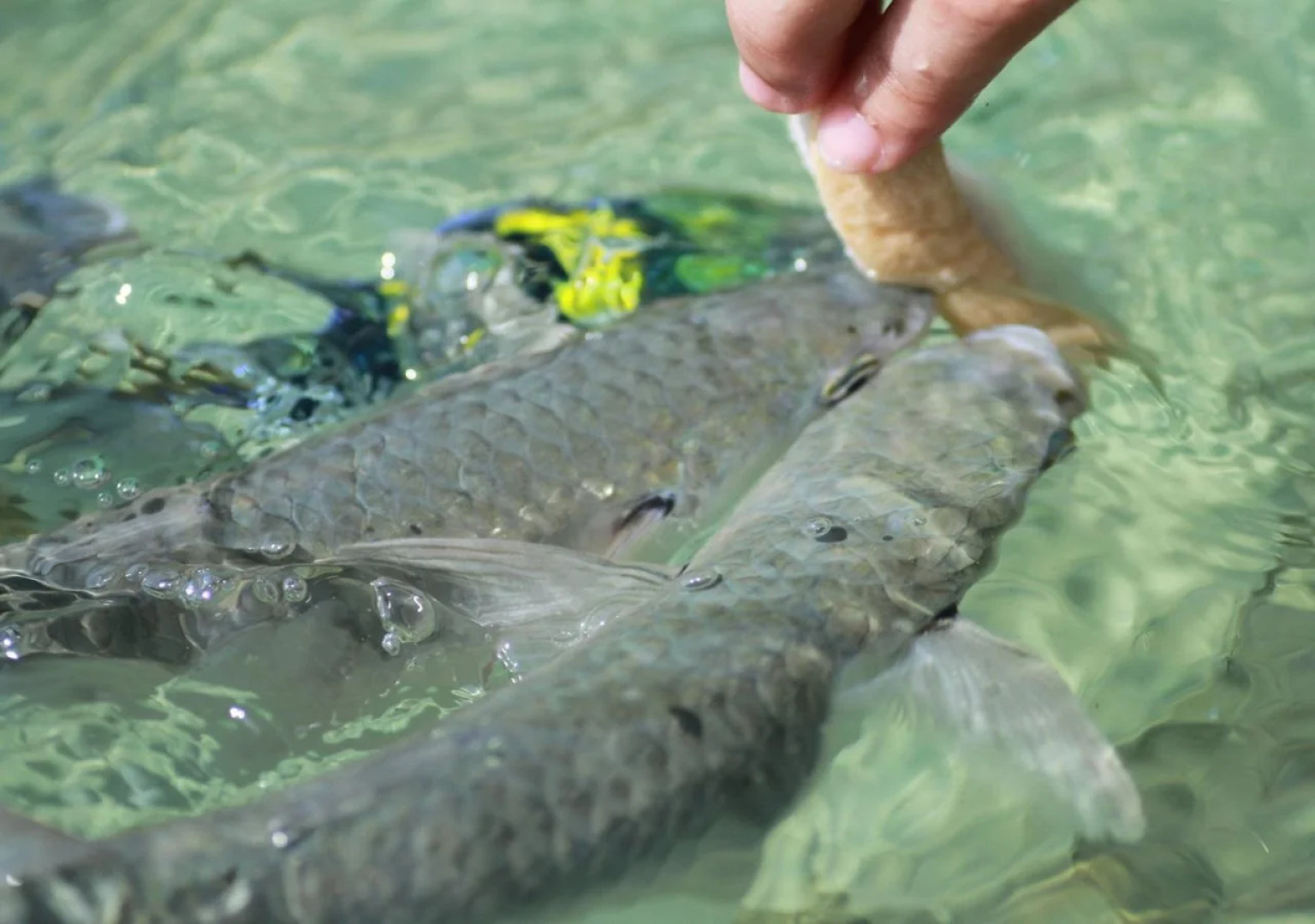 Ban Raya Resort and Spa