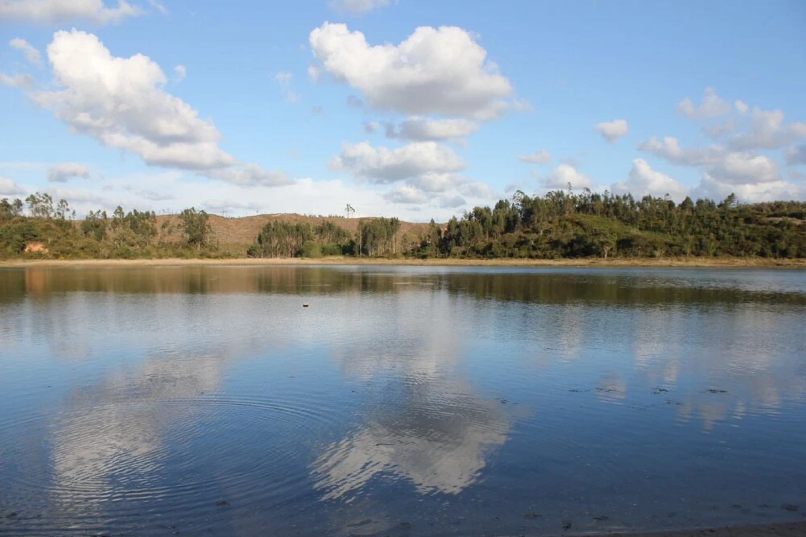 Silver Coast Holidays