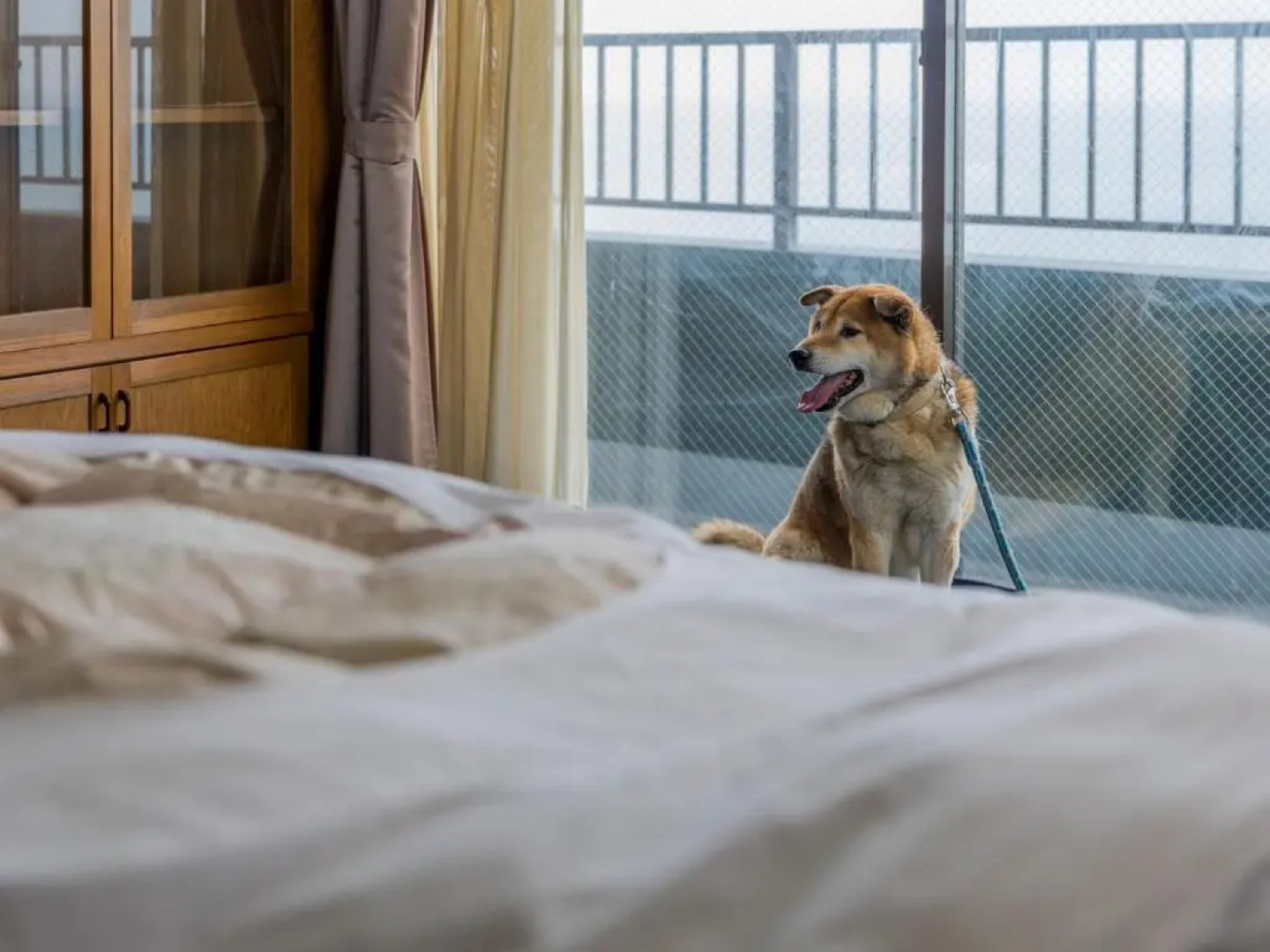 Support Inn Minami-Chita Annex Hamachaya