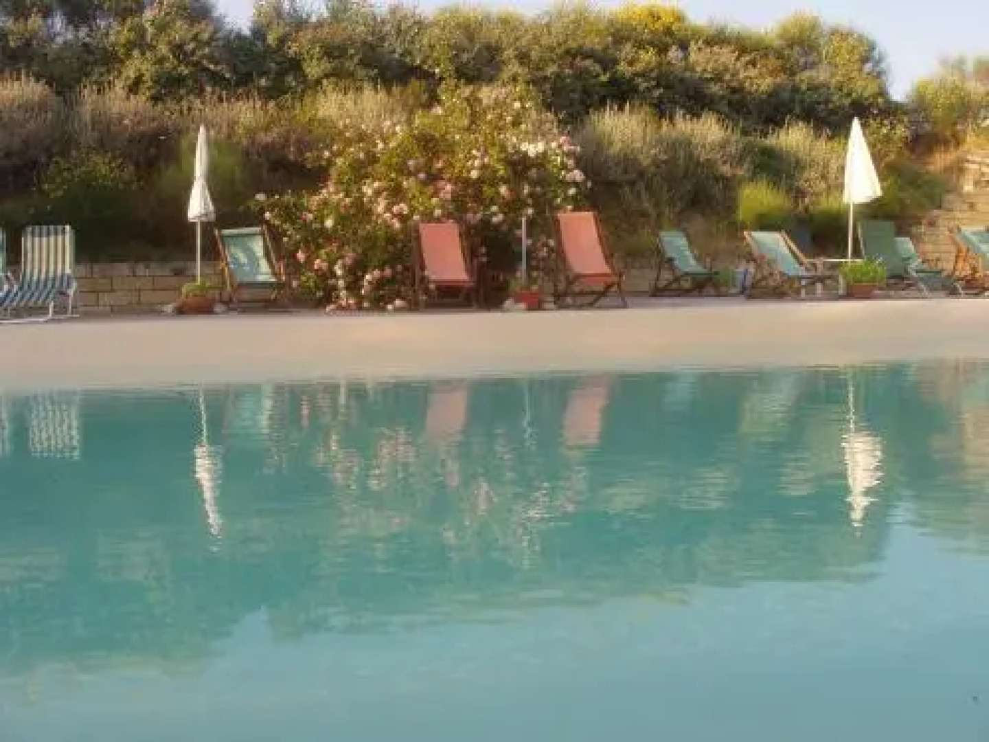 Carrera Della Regina