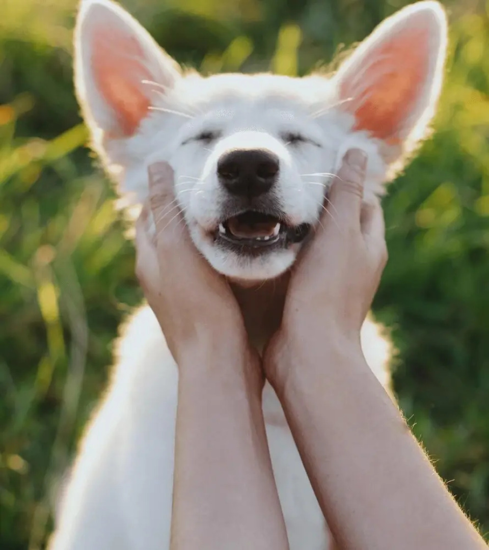 Pine Mountain - Unit 13