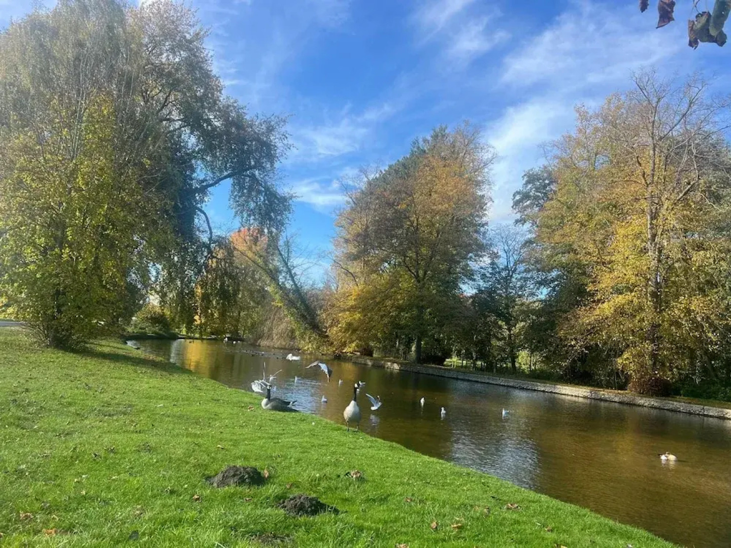 25B Moonstone House in Thetford