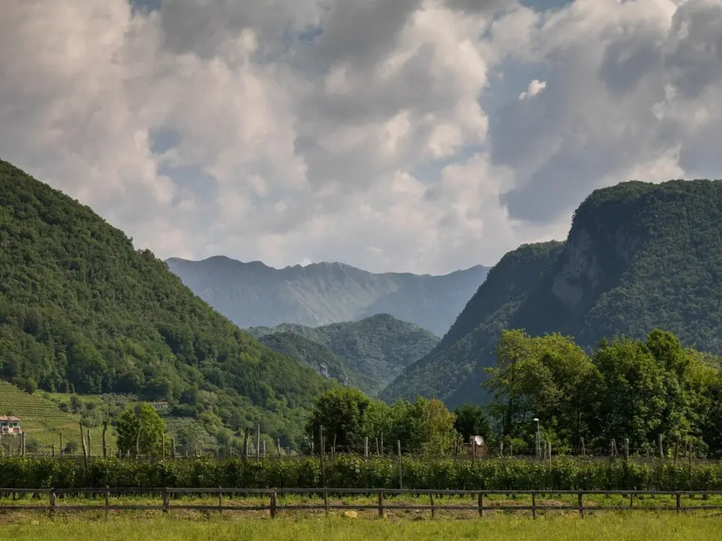 Agriturismo I Comelli