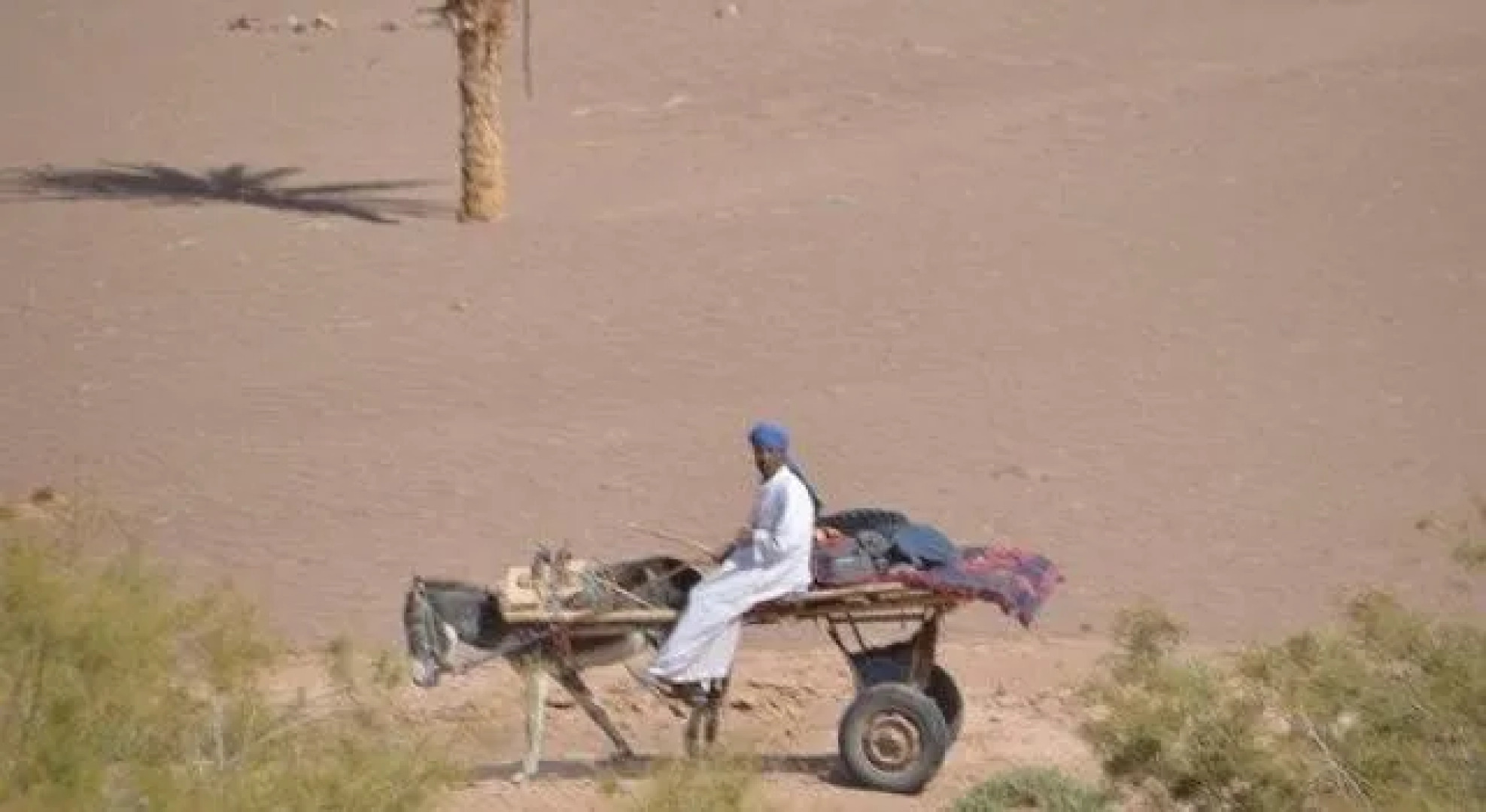 Bivouac Cherg Expeditions