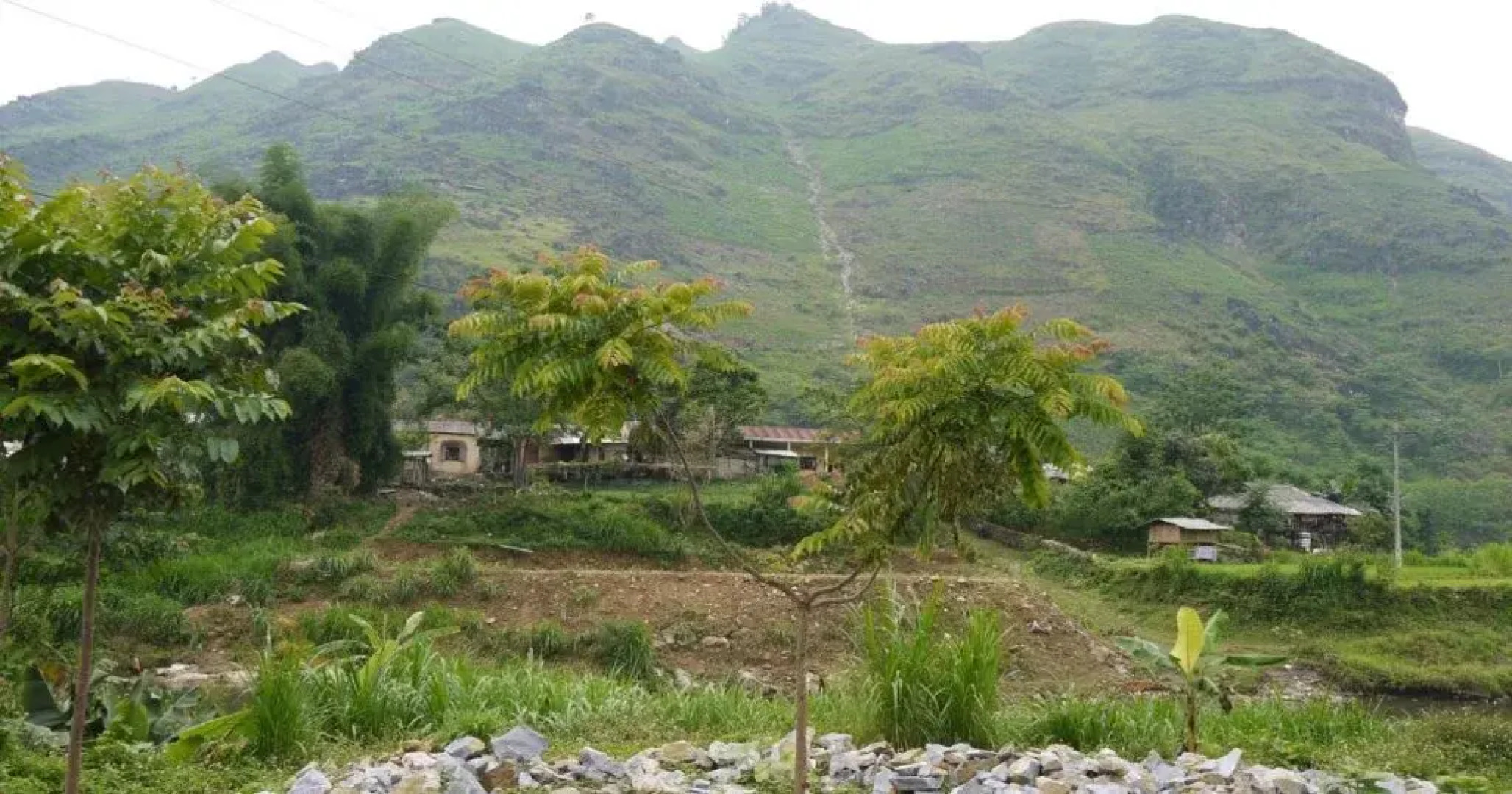 QT Du Gia Guesthouse