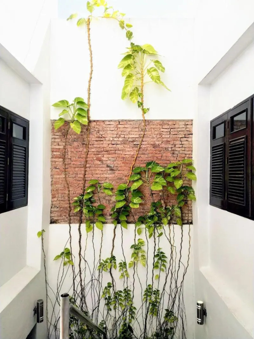 La Terraza de San Juan