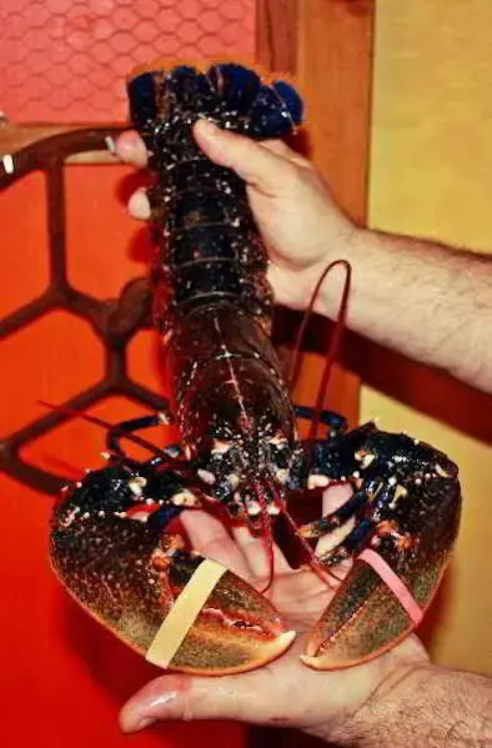 Hosteria San Emeterio