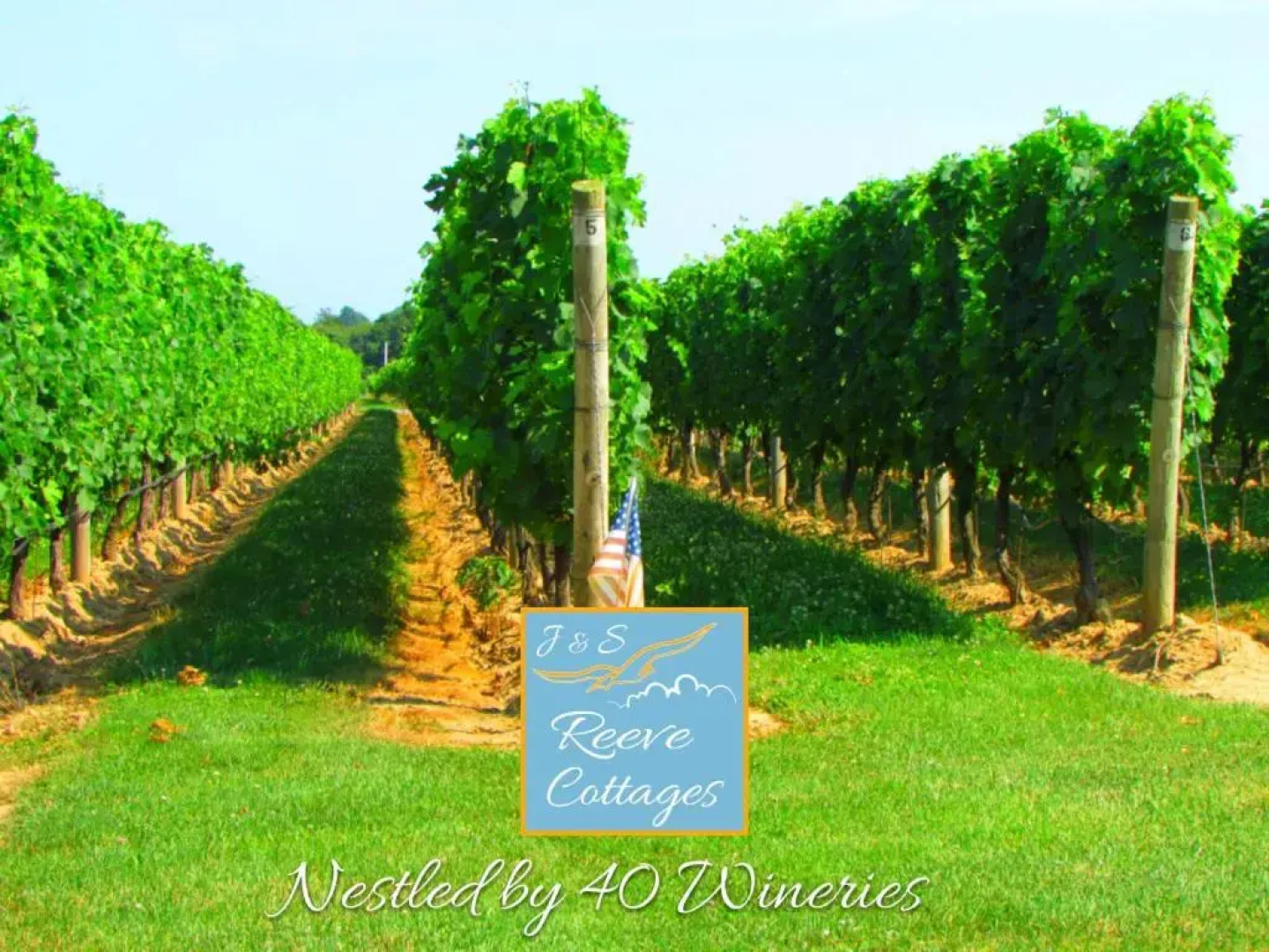 Premier Waterfront Cottage 2