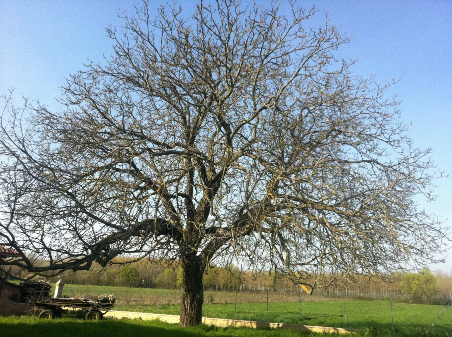 Agriturismo Antico Noce