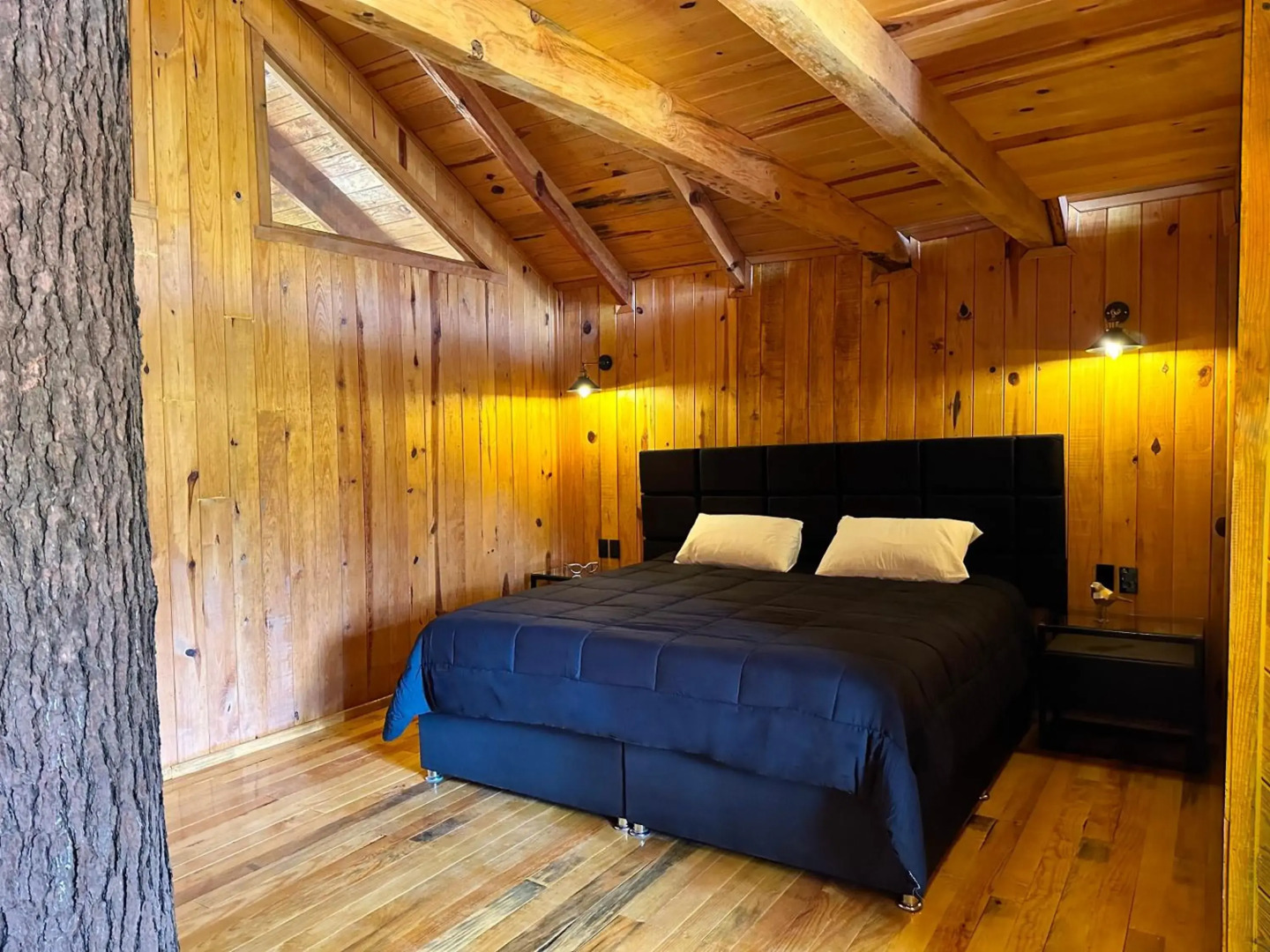 PINE TREE Hotel Boutique & Cabañas