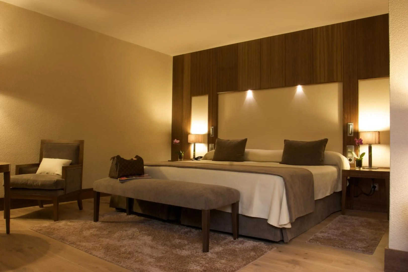 Отель Gran Hotel Balneario De Puente Viesgo