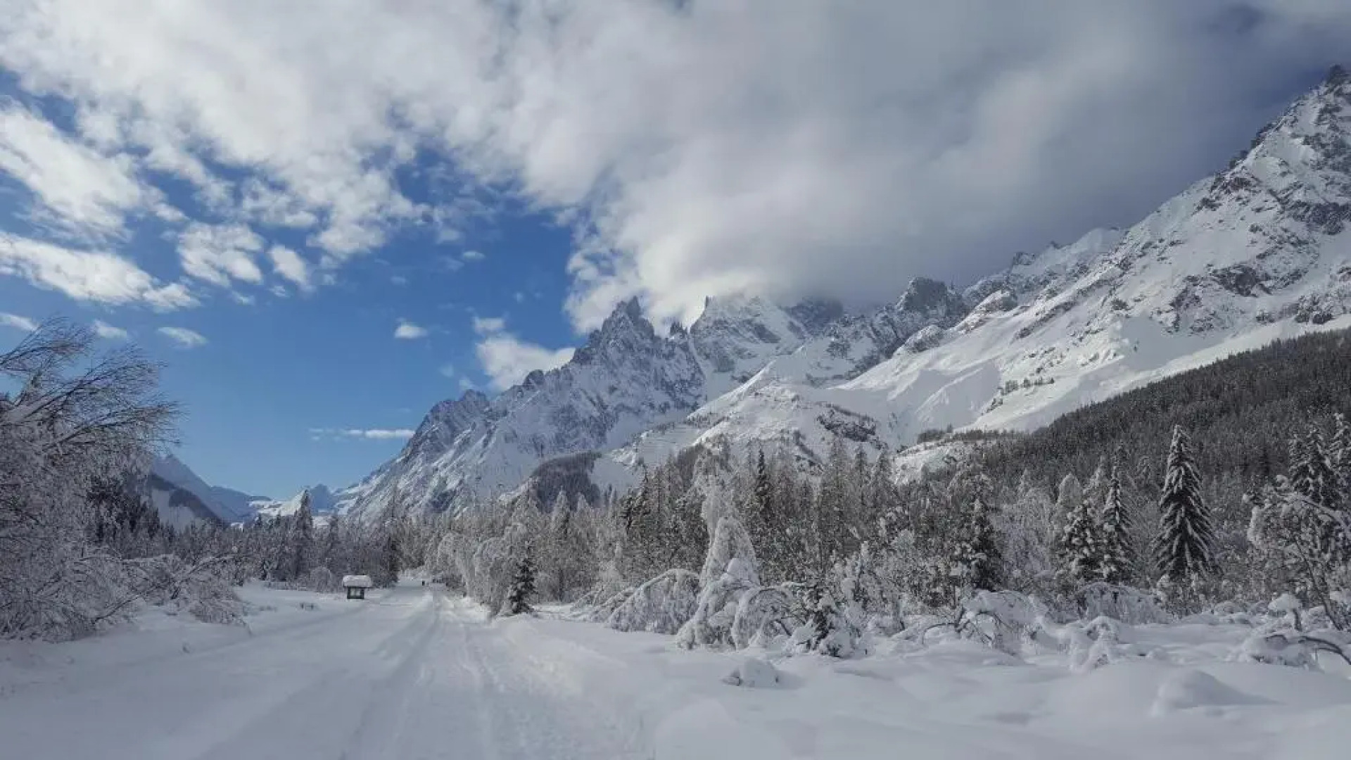 Chalet Blanc " PREMIER "