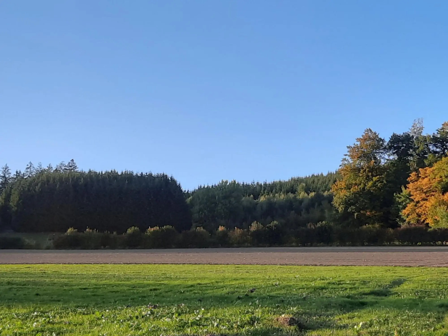 Ferienwohnung im Malerischen Eslohe