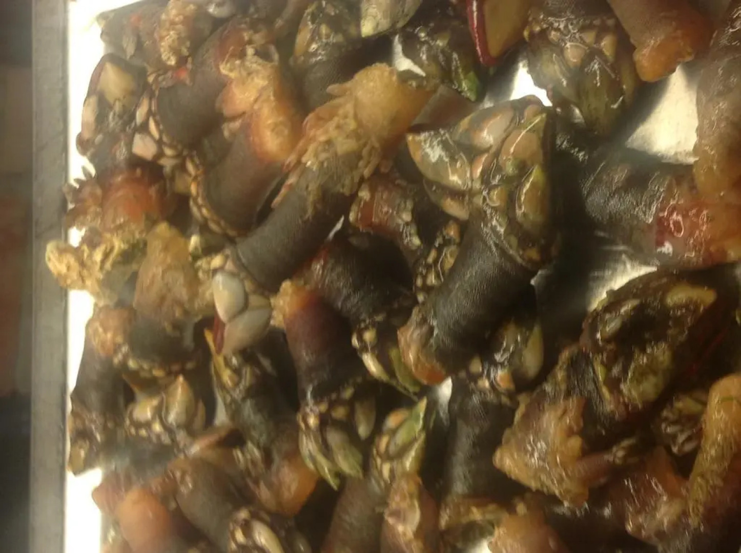 Hotel Marisqueria Cal Tet