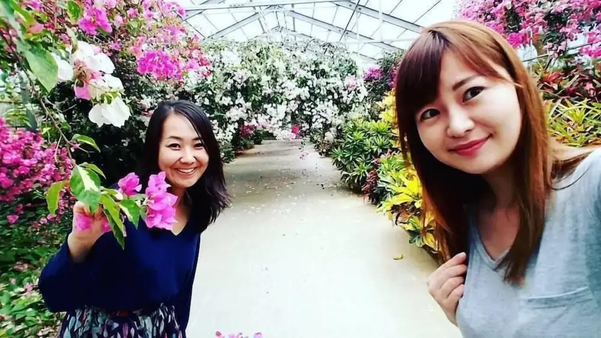 Guest House Kiiroiie - Caters to Women