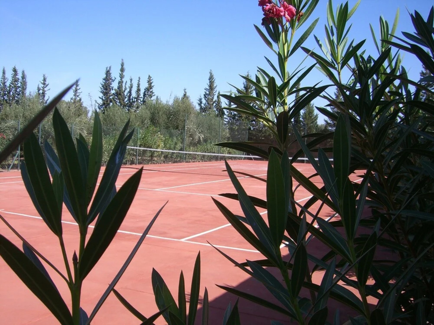 O Domaine Des Délices