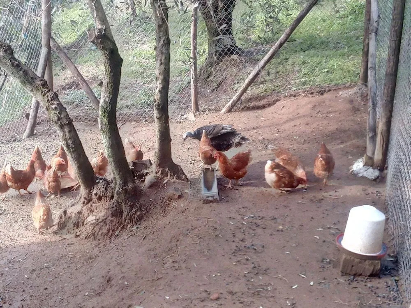 Aura Toscana Boutique