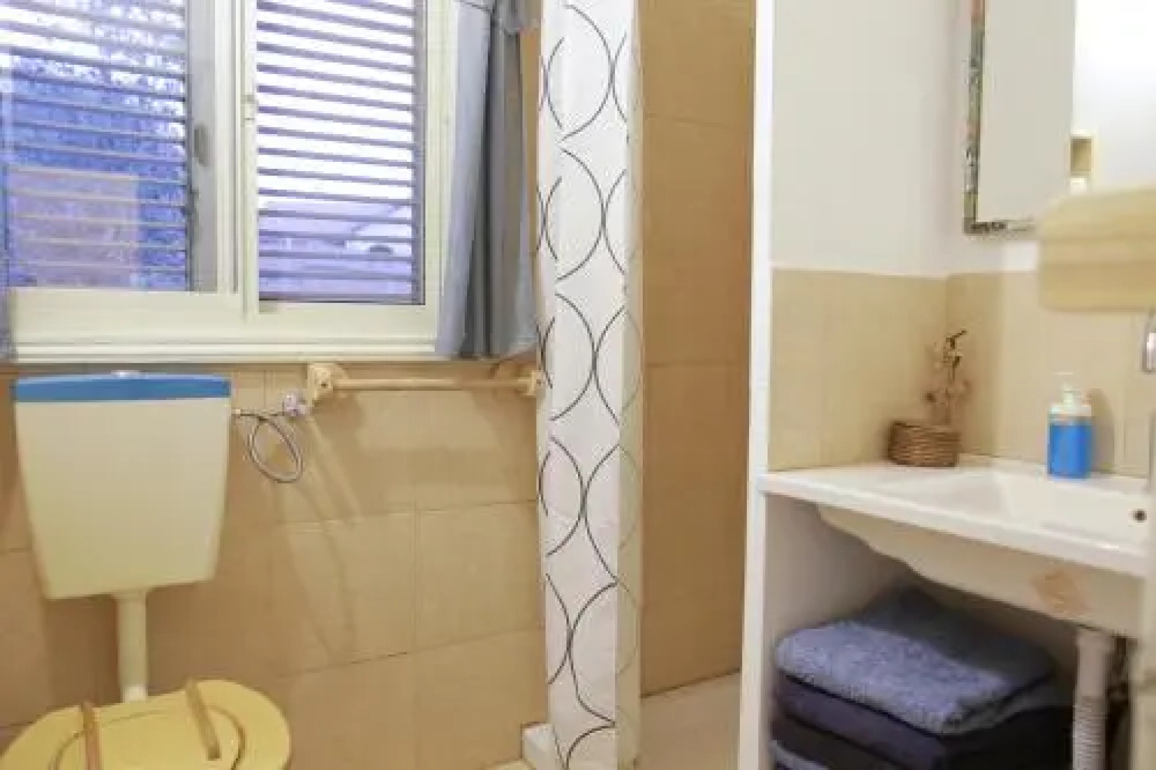 Blue House In The Woods- Amirim