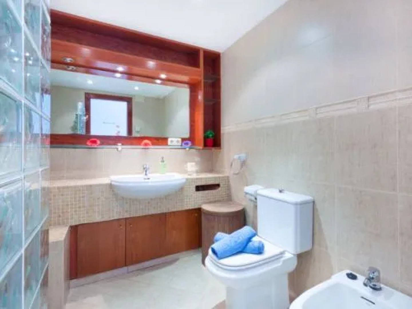 House LA OLIVA Palau Savardera