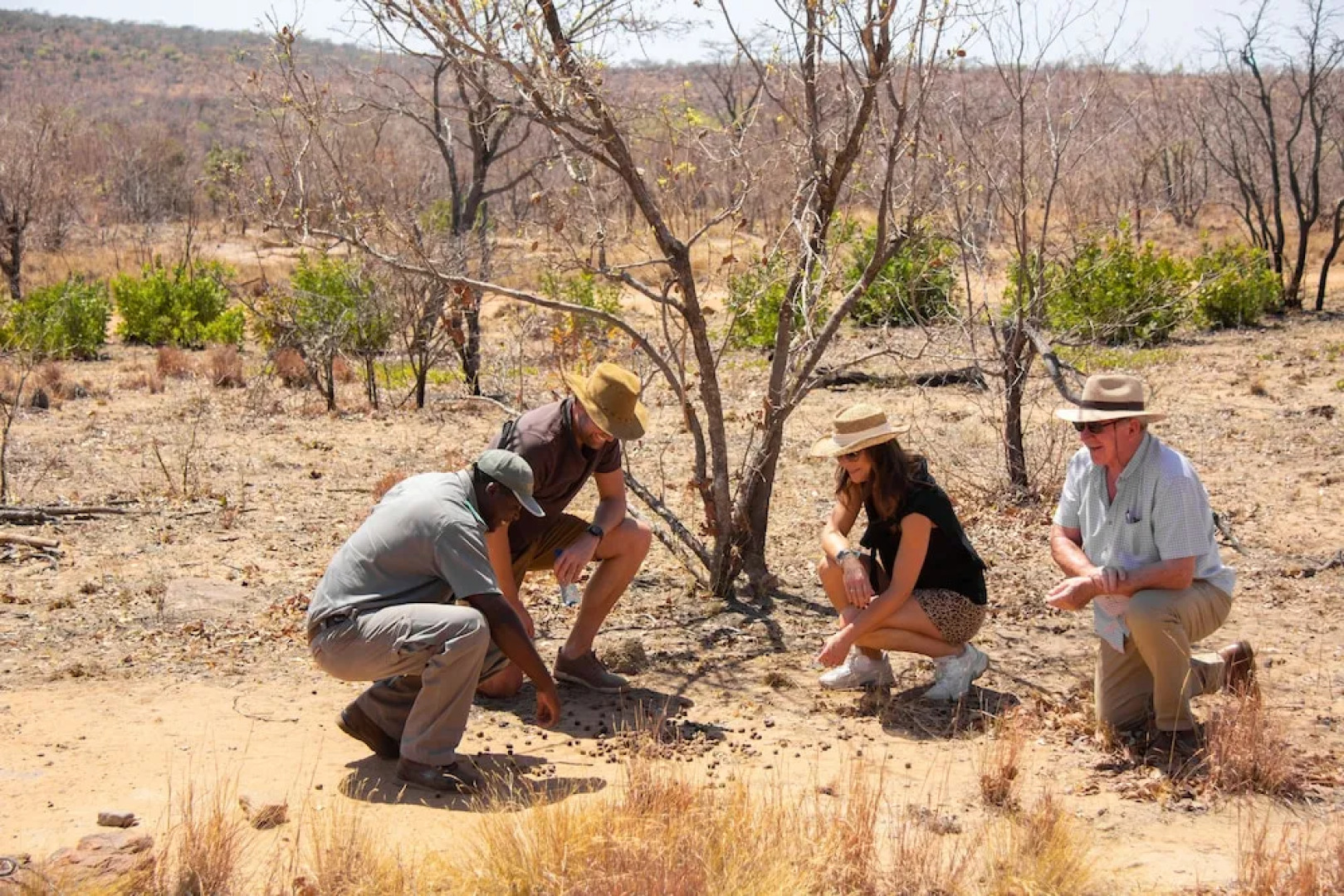 Sediba Luxury Safari Lodge