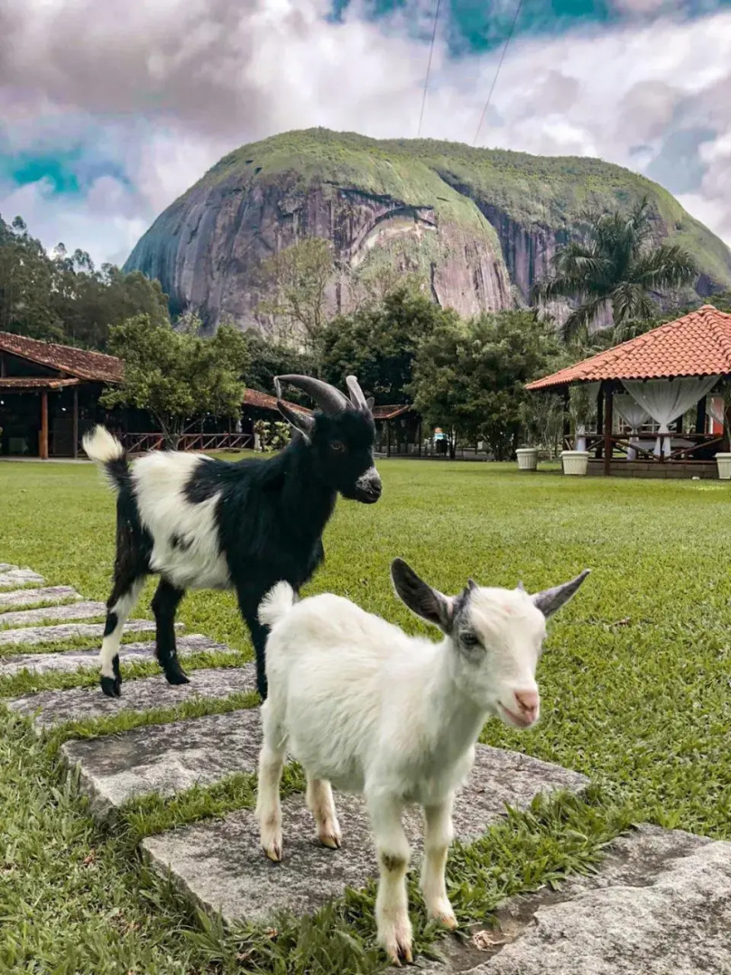 Pousada Minha Glória