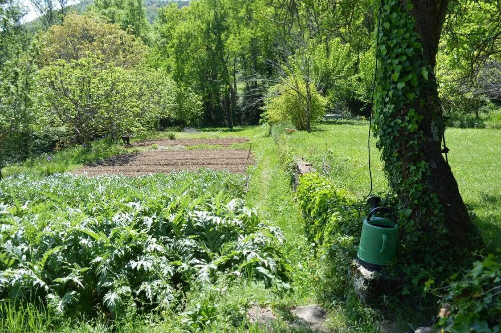 Rectora de Castellar