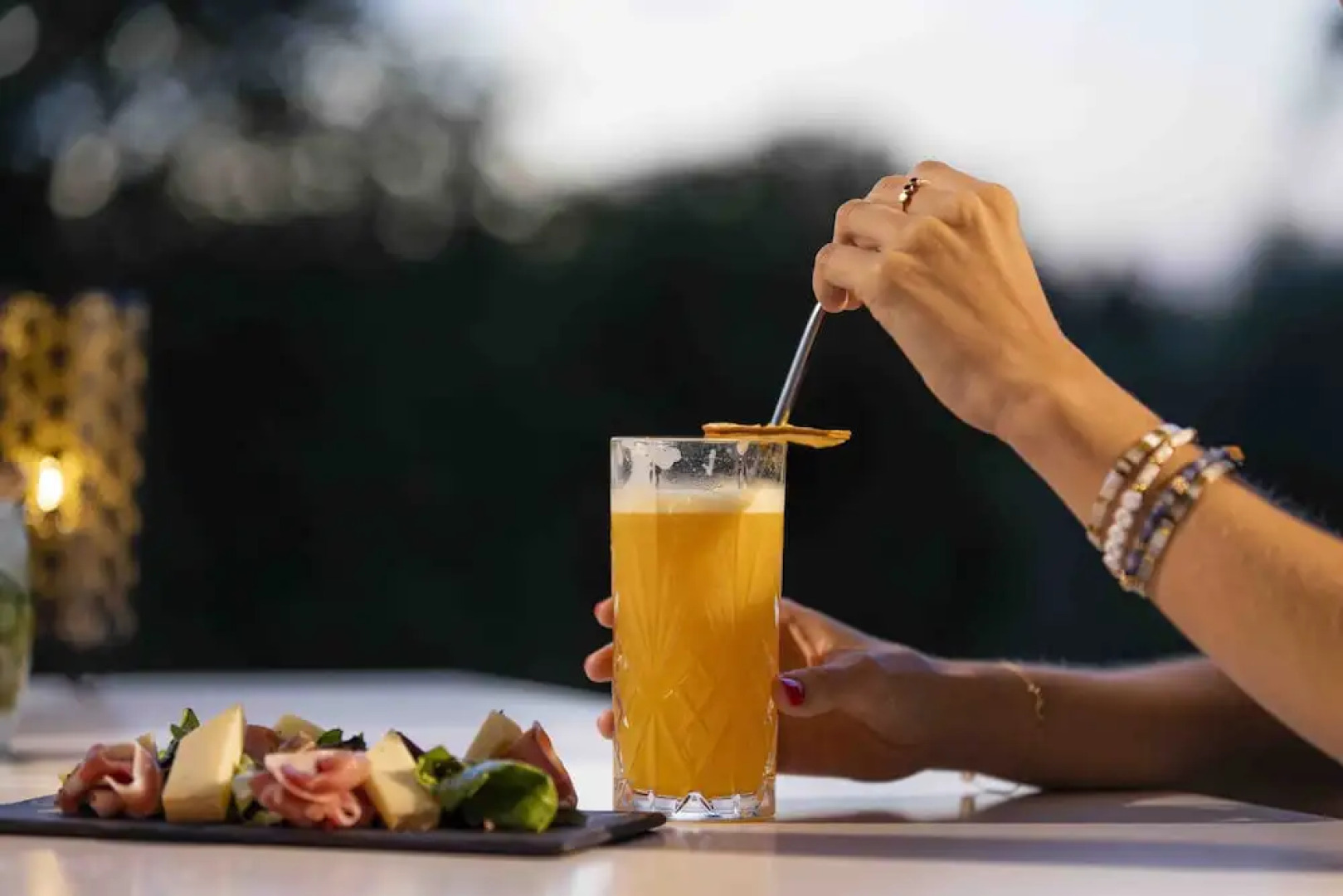 Les Lodges - Parrot World